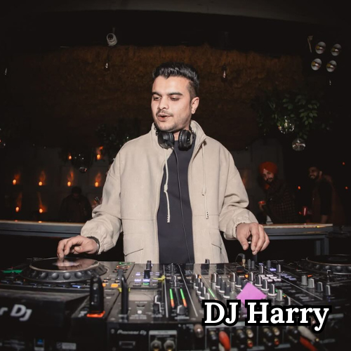 dj harry in chandigarh