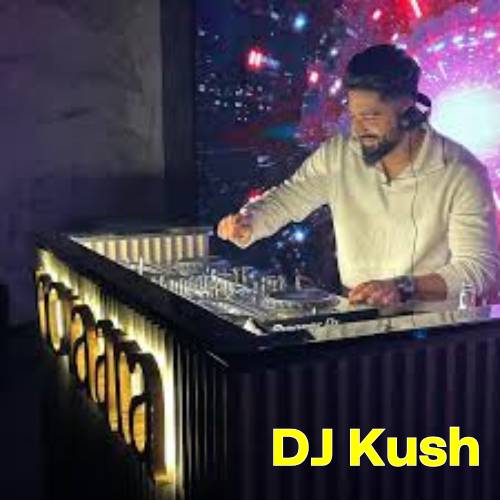 dj kush artist in jaipur